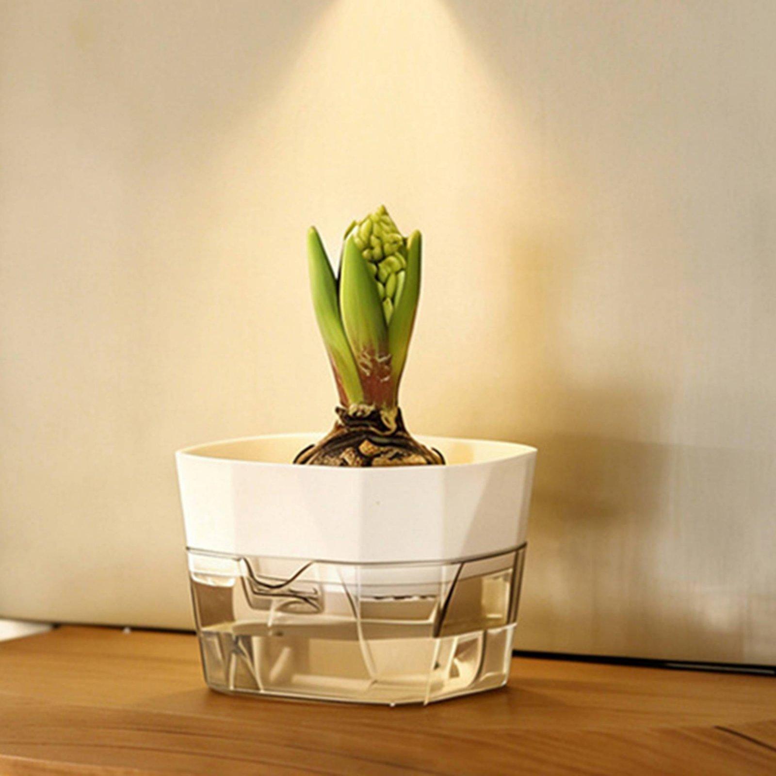 Vaso Hidropônico de Duas Camad - Vase Decor avaliação e preço